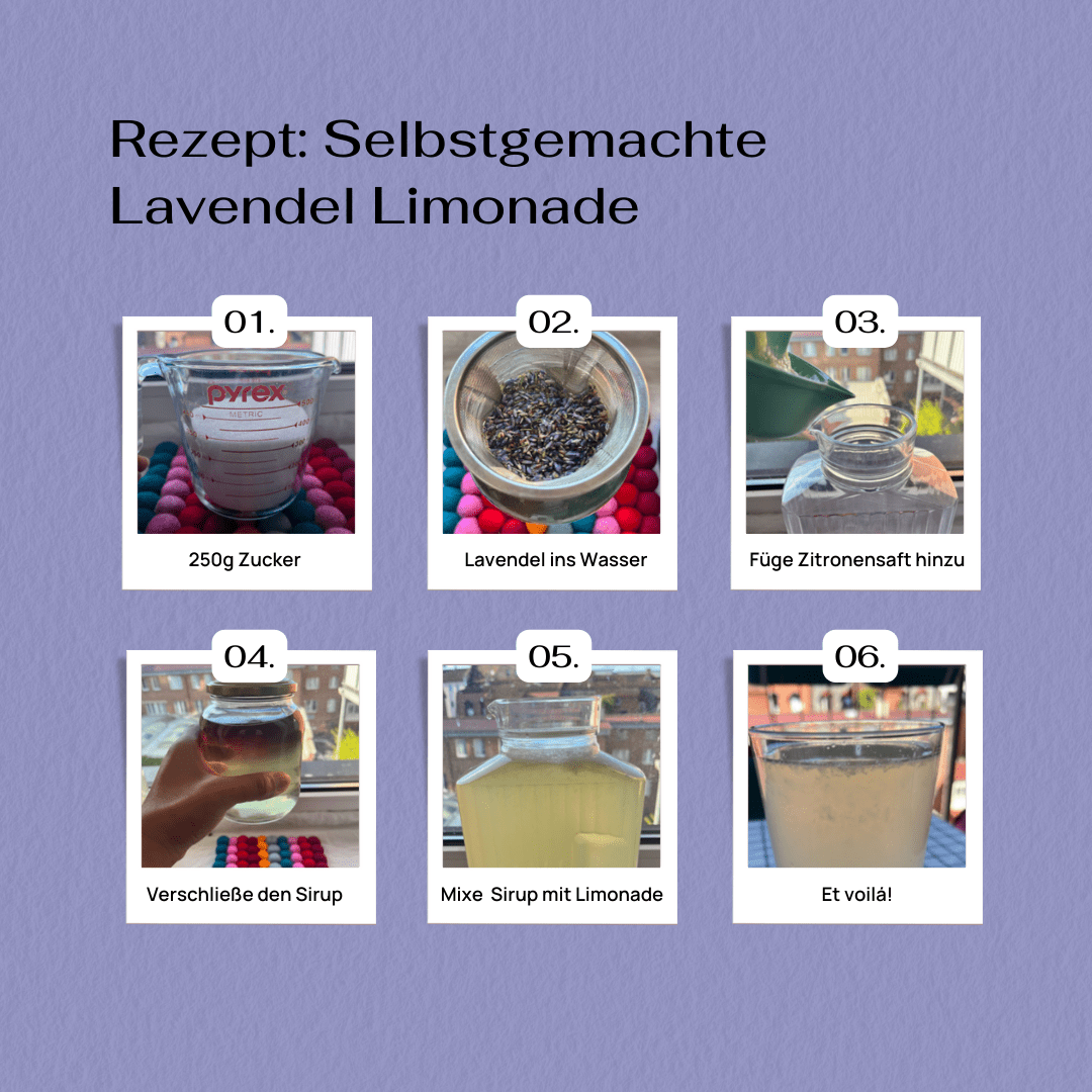 Rezept: Lavendel Limonade