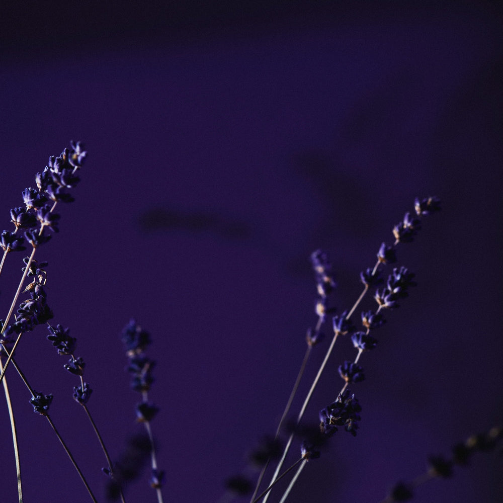 Rezept: Lavendel Limonade
