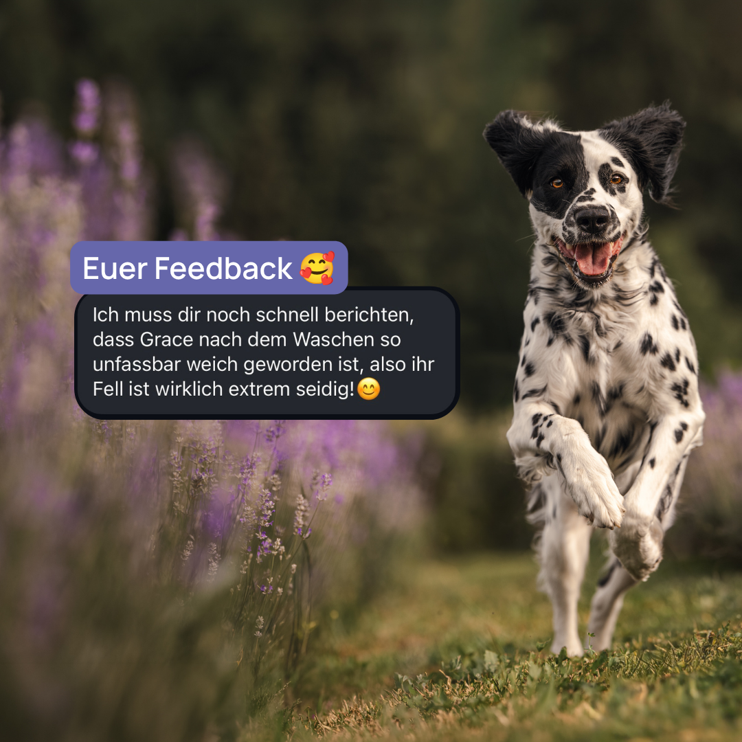 Lavender Dog Shampoo