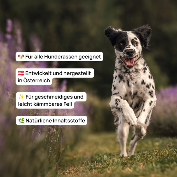 Lavender Dog Shampoo