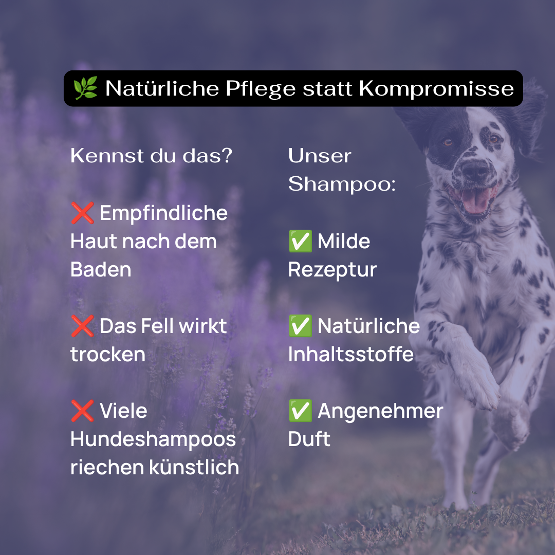 Lavender Dog Shampoo