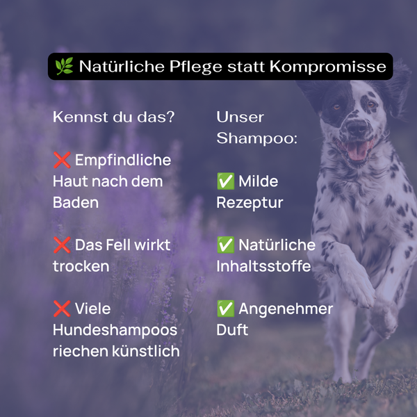 Lavender Dog Shampoo