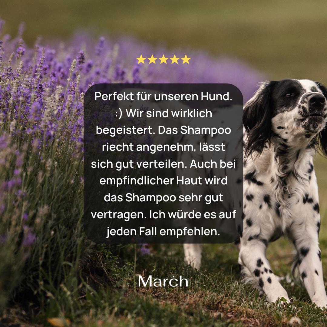 Lavender Dog Shampoo